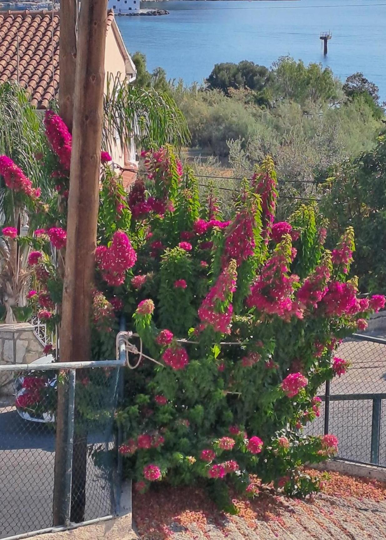 Appartement Bougainvillea Corfu  Exteriör bild